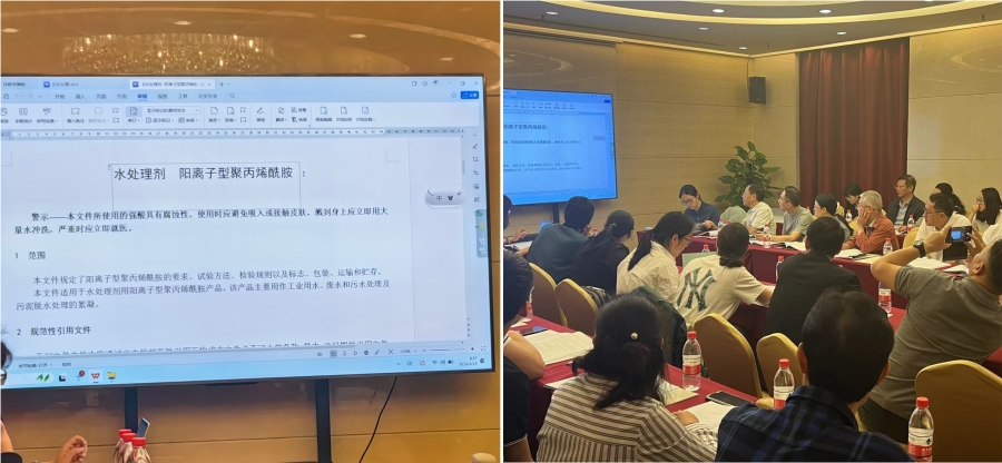 在此次會議中，標委會項目負責人詳細介紹了標準制修訂的前期工作和文獻查閱情況